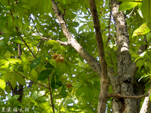 20150902-_9020386-640.jpg