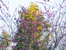 20160110-_1100342.jpg