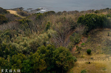 20190307-_DSC3010.jpg
