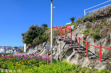 20190308-_DSC3089.jpg
