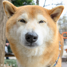 20190322-_DSC3685.jpg