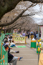 20190322-_DSC3728.jpg