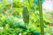 20190818-_DSC7567.jpg