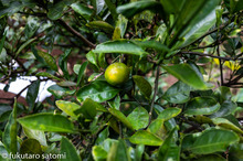 20201013-_DSF4148_002.jpg