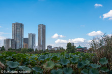 20201021-_DSC2618_004.jpg