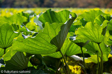 20201021-_DSC2631_005.jpg