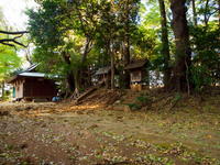 2010110008.jpg