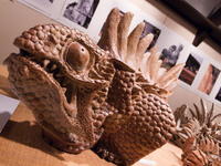 2010110021.jpg