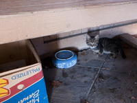 2010110034.jpg