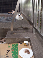 120615~_2151929.jpg