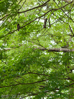 120701~_2013111.jpg