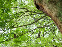 120701~_2013138.jpg