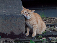 120704~_2043386.jpg