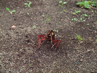 120715~_2154021.jpg