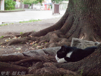 120715~_2154073.jpg
