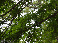 120722~_2224660.jpg