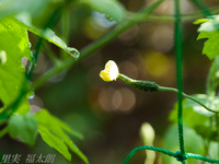 120801~_2015248.jpg