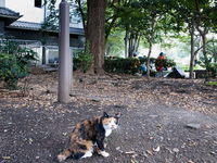 120807~_0018711.jpg