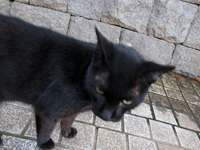 120807~_0018720.jpg