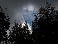 120819~_2195685.jpg