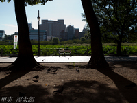 120821~_2215745.jpg