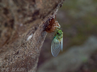 120824~_2245907.jpg