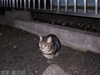 121111~_0019275.jpg