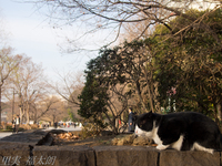 130109~20130109-_A090192-a.jpg