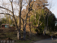 130126~20130126-_A260128-a.jpg
