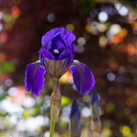 130422~20130422-_A220028-a.jpg