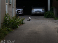 130622~20130622-_A220509-b.jpg