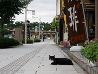 130622~20130622-_A220520-a.jpg
