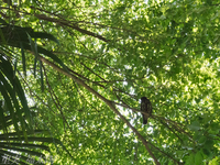 130709~20130709-_A090167-a.jpg