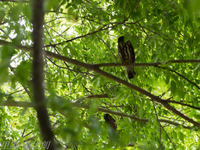 130718~20130718-_A180024-a.jpg