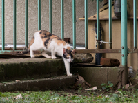 130731~20130731-_A310093-a.jpg
