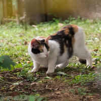 130731~20130731-_A310125-a.jpg