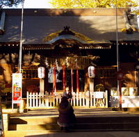20080050.jpg