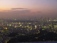20080100.jpg