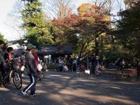 2009-02L0009.jpg