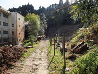 20090081.jpg