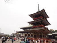 20090105b.jpg