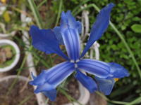20090122.jpg