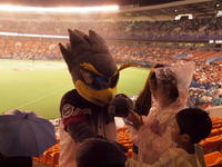 20090173.jpg