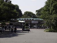 2009d0049.jpg