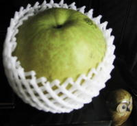 2009e0005.jpg
