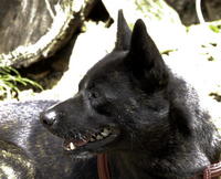 2009e0022.jpg