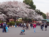 2010(10033120100331-28-169.jpg