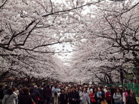 2010(10033120100331-28-67.jpg