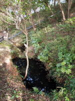 2010-0011.jpg