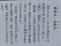 2010-0030.jpg